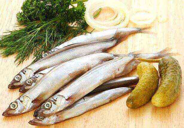 Blue whiting benefits and harms
