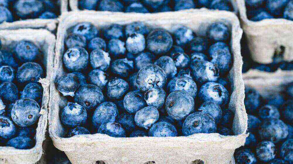 Blueberry benefits and harms