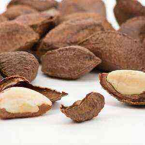 Brazil nut health benefits, benefits and harms of calories