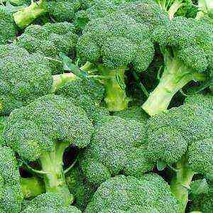 Broccoli health benefits, benefits and harms of calories