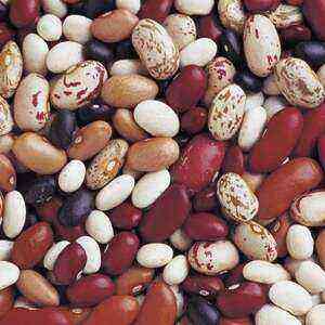 Calorie Benefits, Benefits and Harm of Beans