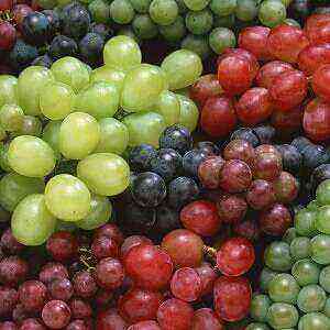 Calorie health benefits, benefits and harms of grapes
