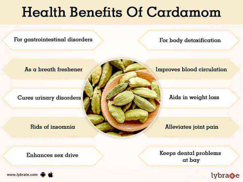 Cardamom benefits and harms