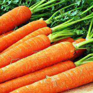 Carrots Benefits, Benefits & Harmfuls Of Calories