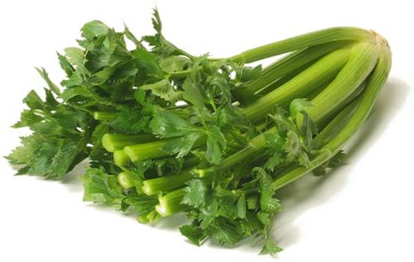 Celery benefits and harms