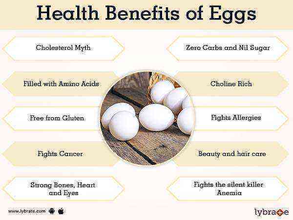Chicken egg benefits and harms