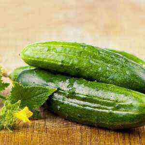 Cucumber benefits, benefits and harms of calories