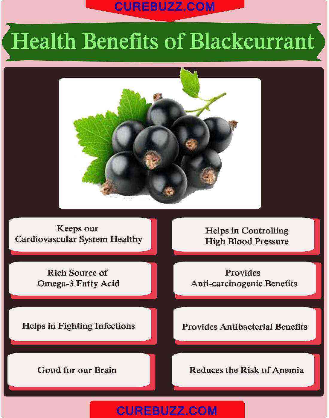 Currant (black) benefits and harms