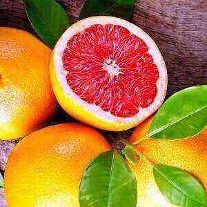 Grapefruit benefits, benefits and harms of calories