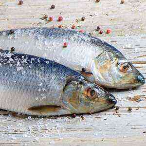 Herring benefits, benefits and harms of calories