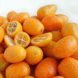 Kumquat health benefits, benefits and harms of calories