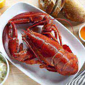 Lobster health benefits, benefits and harms of calories