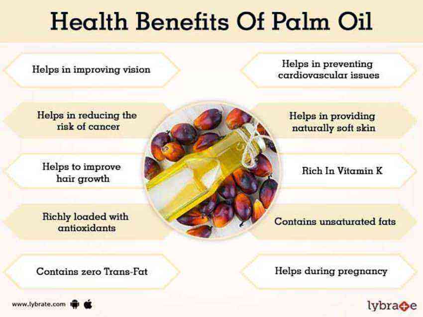 Palm oil benefits and harms