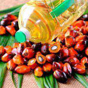 Palm oil benefits, benefits and harms of calories