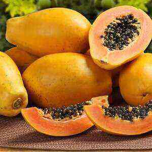 Papaya health benefits, benefits and harms of calories