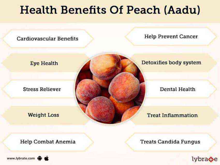 Peach benefits and harms
