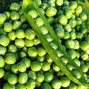 Peas health benefits, benefits and harms of calories