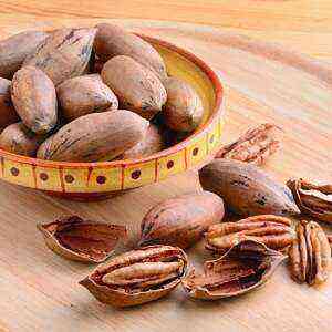 Pecans health benefits, benefits and harms of calories
