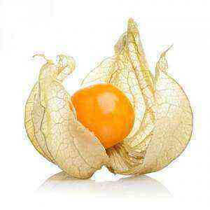 Physalis health benefits, benefits and harms of calories