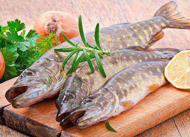 Pike health benefits, benefits and harms of calories