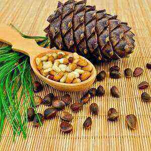 Pine nut benefits, benefits and harms of calories