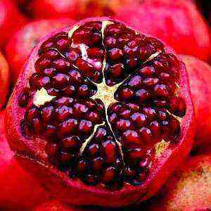 Pomegranate benefits, benefits and harms of calories