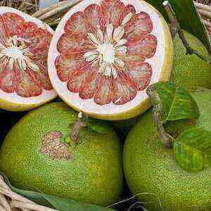 Pomelo health benefits, benefits and harms of calories