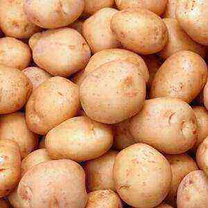 Potatoes health benefits, benefits and harms of calories