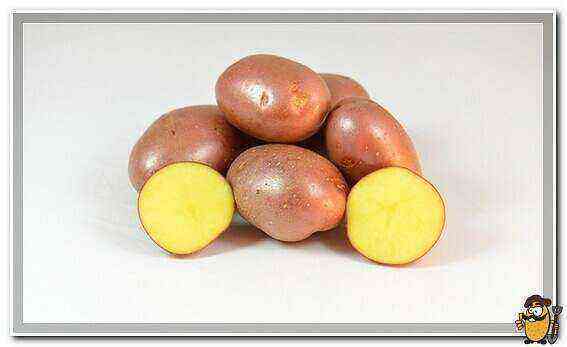 Potatoes Red Sonya care how to grow