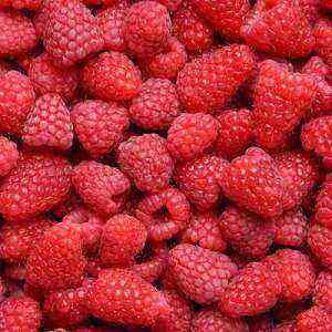 Raspberry health benefits, benefits and harms of calories