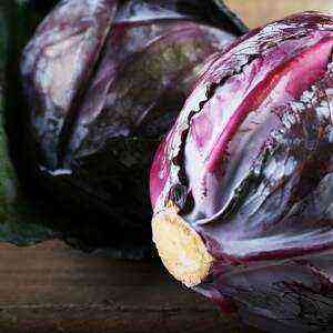 Red cabbage health benefits, benefits and harms of calories