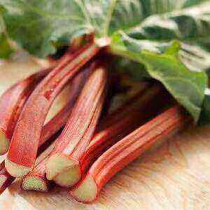 Rhubarb benefits, benefits and harms of calories