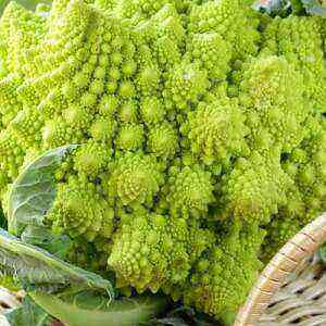 Romanesco cabbage health benefits, benefits and harms of calories