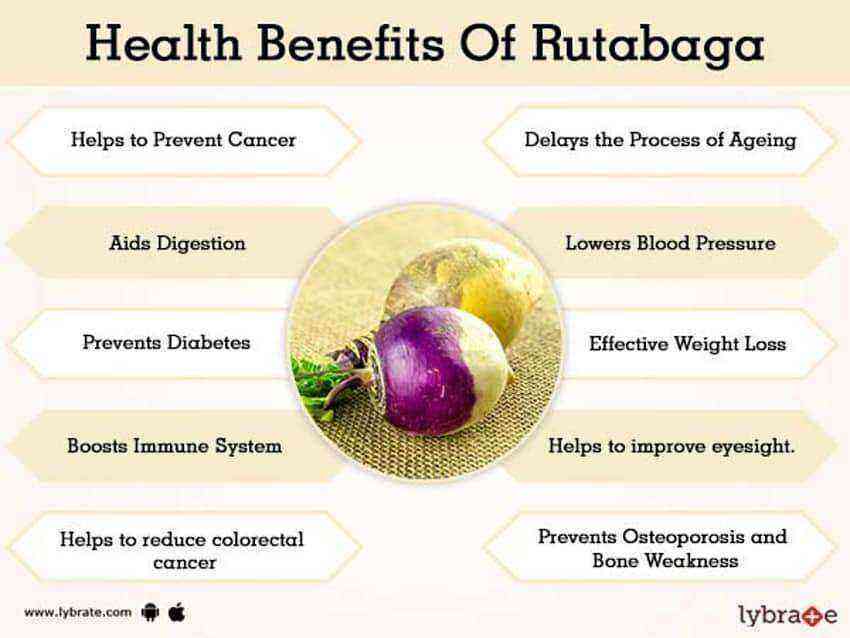 Rutabaga benefits and harms