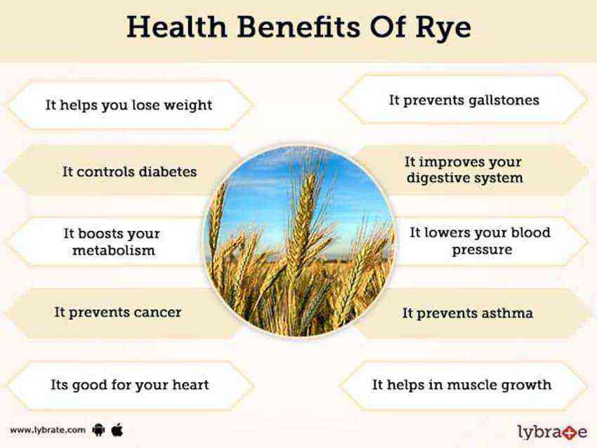 Rye flour benefits and harms
