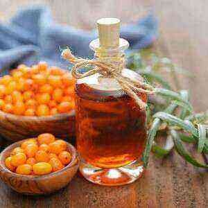 Sea Buckthorn Oil The Benefits, Benefits And Harm Of Calories