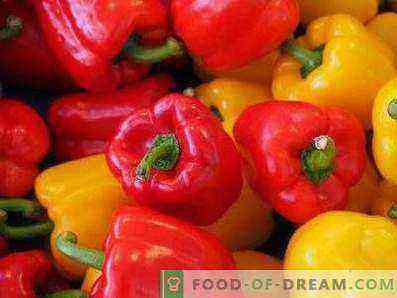 Sweet Pepper (Bulgarian) Benefits and Harms