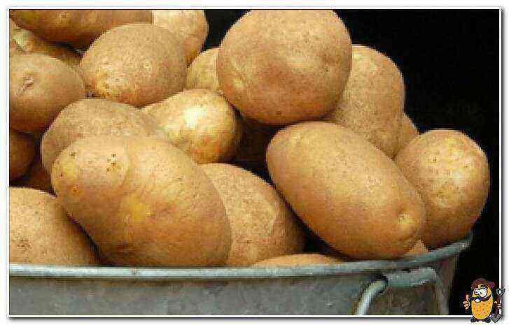 Tuleevsky potatoes care how to grow