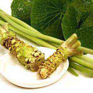 Wasabi health benefits, benefits and harms of calories