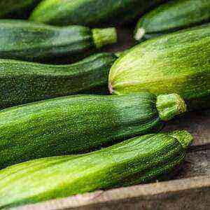 Zucchini health benefits, benefits and harms of calories