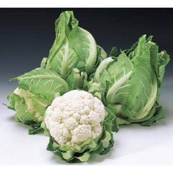 Kores cabbage