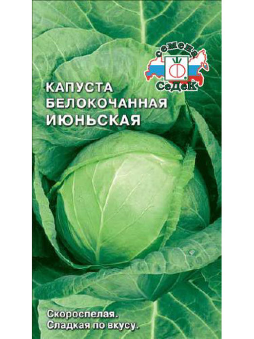 Seeds of cabbage variety June of the firm "SeDec"