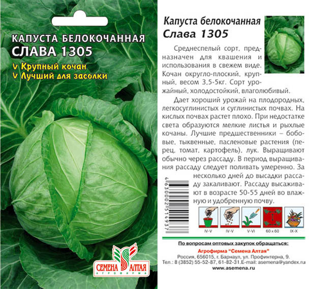 Cabbage seeds Glory of the company "Altai Seeds"