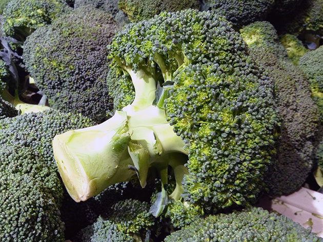 Broccoli Cabbage Harvest