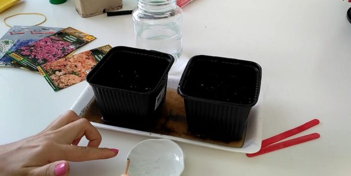 sowing containers