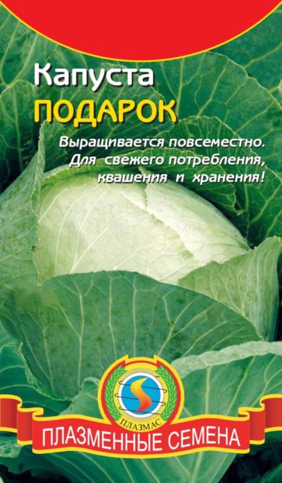Cabbage seeds of "PLASMAS" company