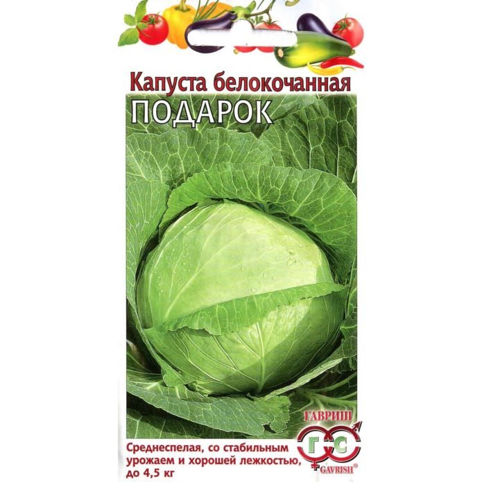 Cabbage seeds of the "Gavrish" trademark