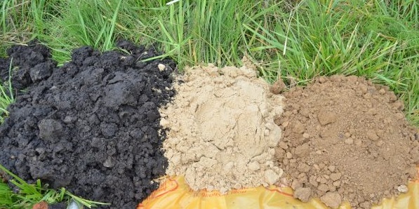 Soil mix for seedlings