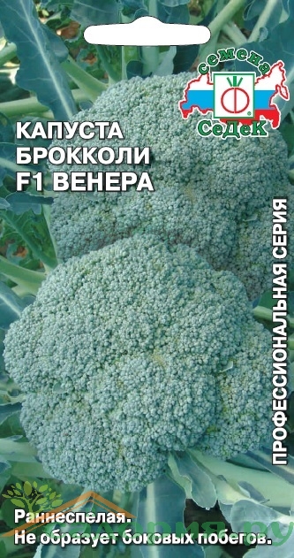 Broccoli Venus F1