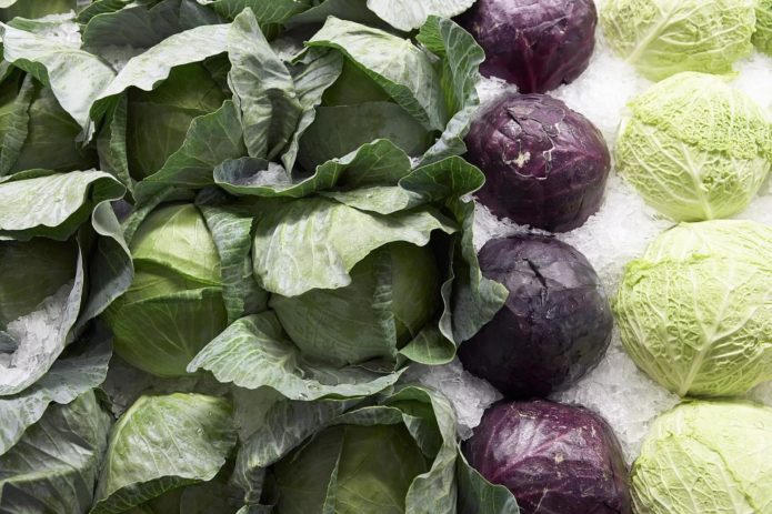 White cabbage, red cabbage and savoy cabbage